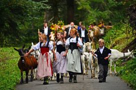 Alpbzug1