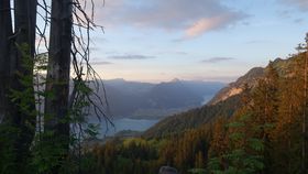 DSC00959